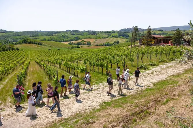 Tuscany Day Trip: Siena, San Gimignano, Pisa & Winery Lunch
