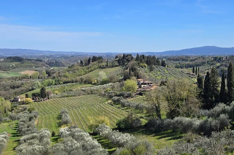 Small-Group Siena & San Gimignano with Winery Lunch