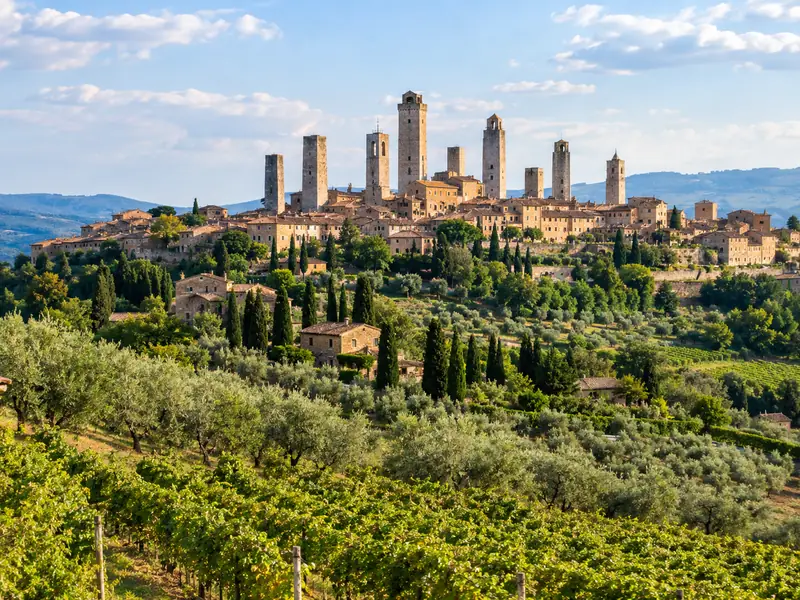 The towers of San Gimignano above vineyards